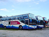 花蓮租車出租大型遊覽車租車 (可乘43人)