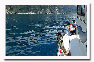 石梯坪夜釣小管