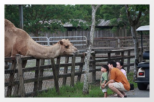 宜蘭花蓮三天兩夜輕鬆玩